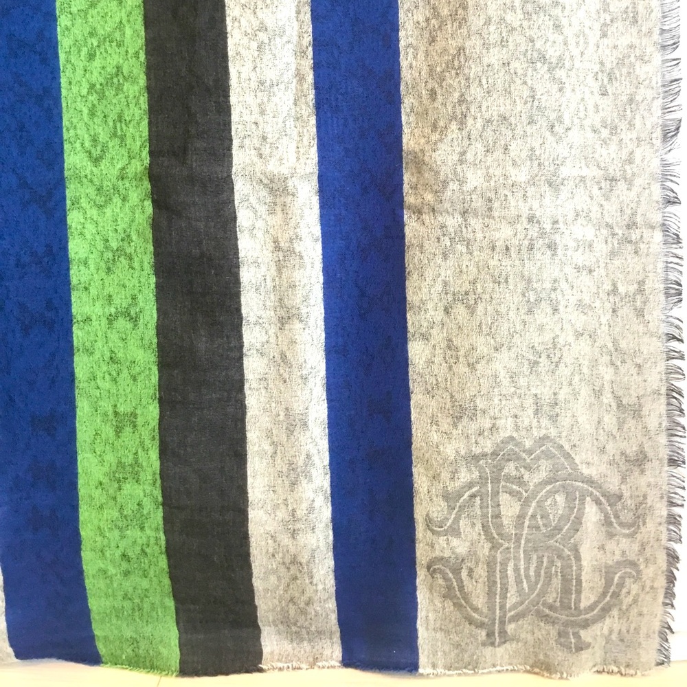 Roberto Cavalli Green, Black, Blue, and Gray Scarf